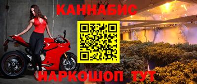 jwh Камышлов
