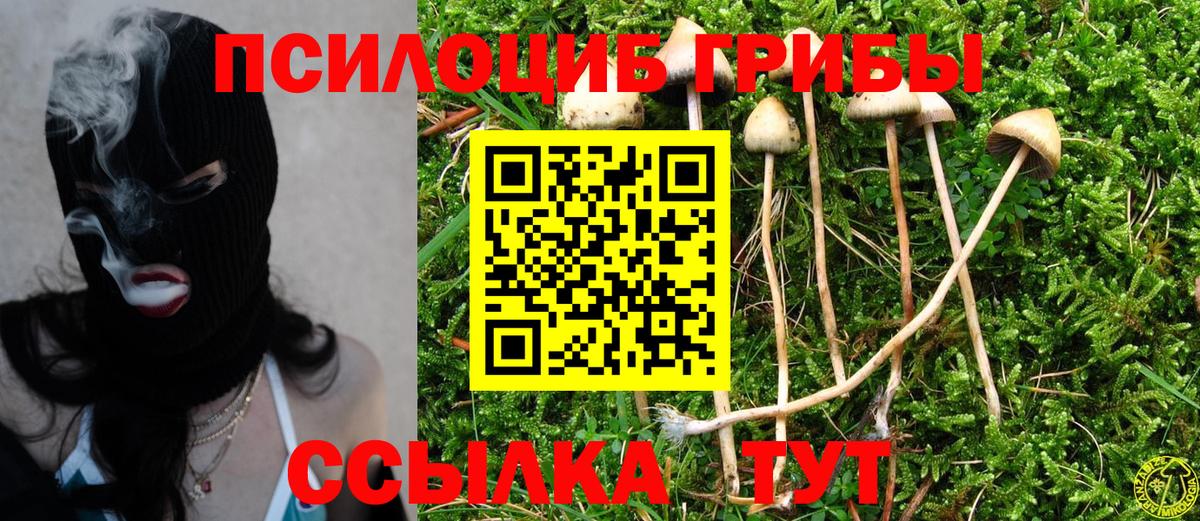 Бугуруслан  Галлюциногенные грибы прущие грибы  Вход с VPN 